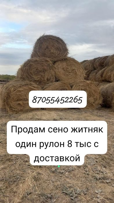 Продаеться чистый житняк
