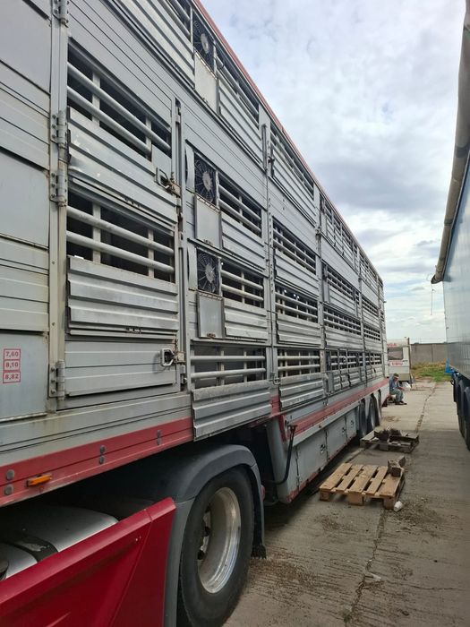 Vând Tir Mercedes Benz model 1851 pt transport animale vii