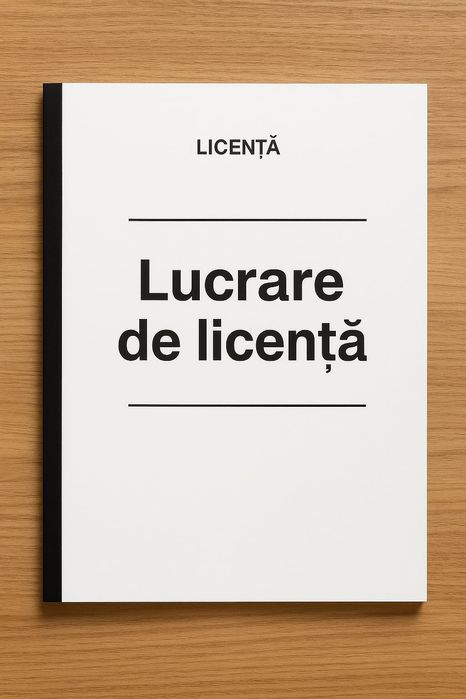 Consultanță și îndrumare pentru redactarea lucrărilor de licență.