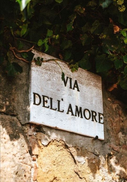 Ofer meditatii limba italiana.