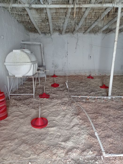 Broler boqishga joy ijaraga beraman