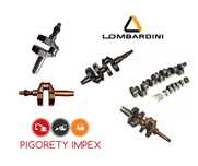 Vibrochen / Arbore motor Lombardini