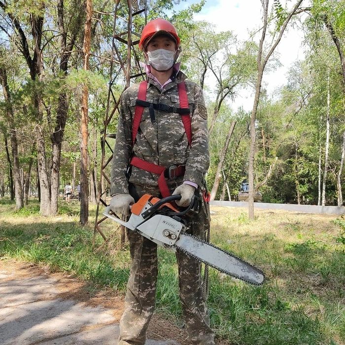 Обрезка деревьев