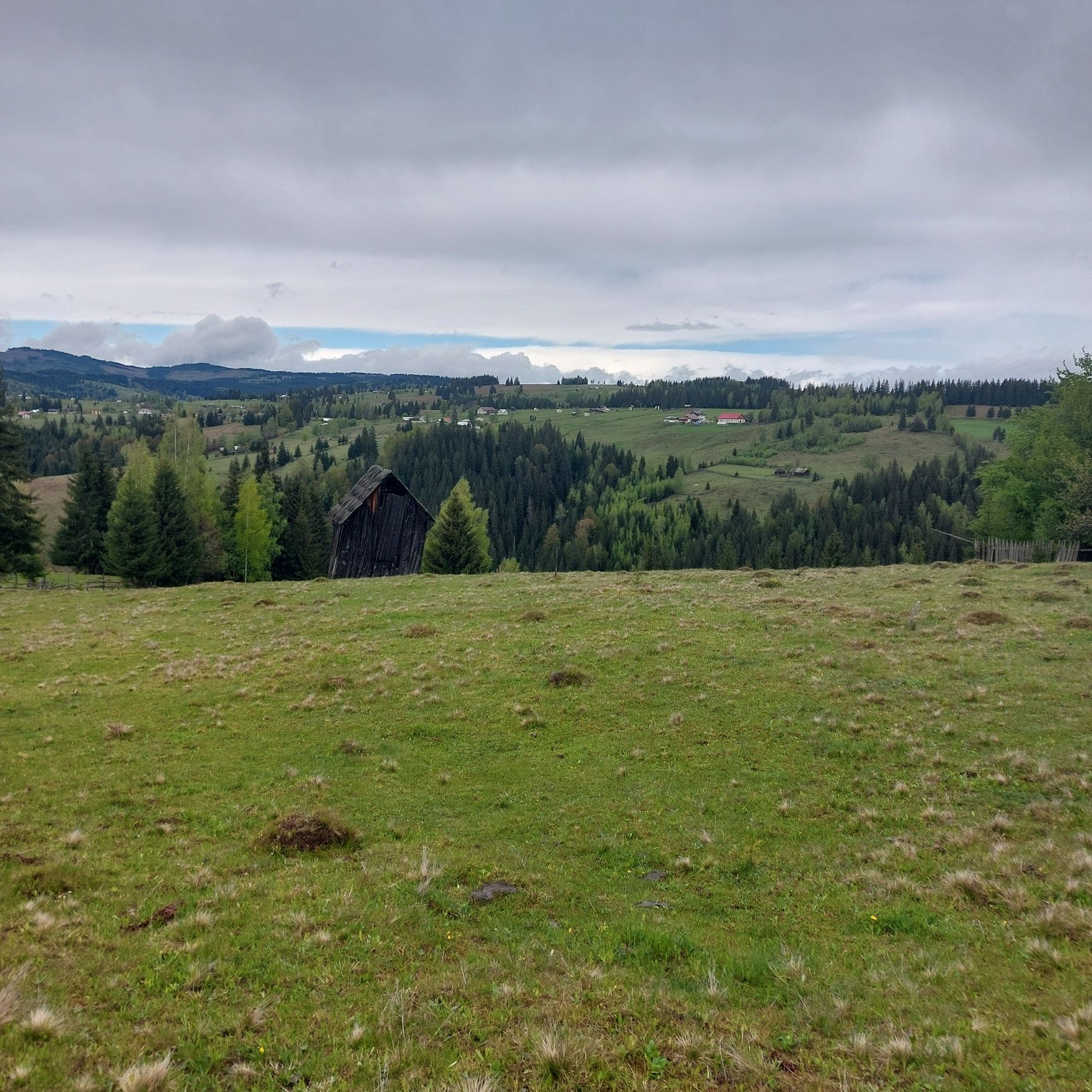 Vand teren in Bucovina!! 2.5 ha din care 7000 m2 intravilan