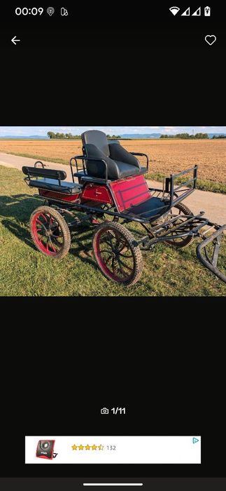 Trăsura pentru 6 persoane cu frâna la pedală, caleașca pt cai de vânza