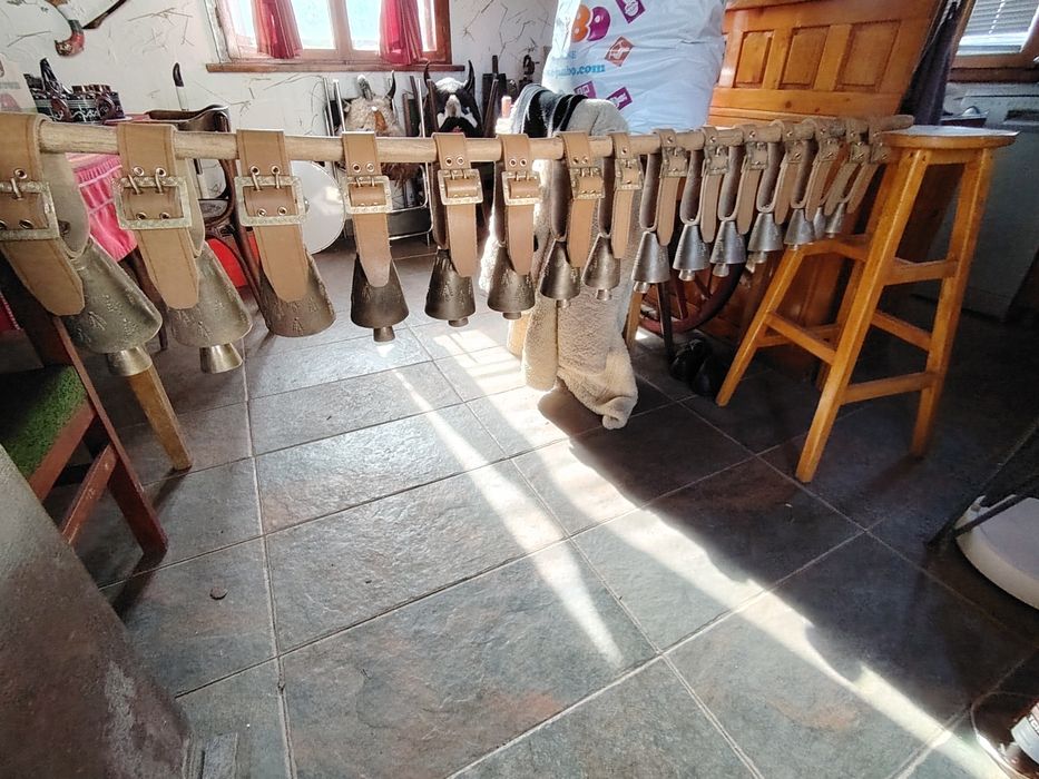 Продават се чанове от 1 до 15 номер