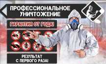 Дезинфекция Dezinfeksiya kana klop burga tarkan бурга чивин пашша илон