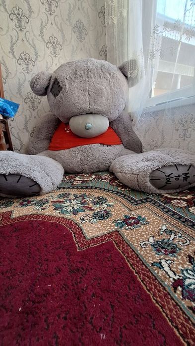 Teddy ayigi boyi 1.90