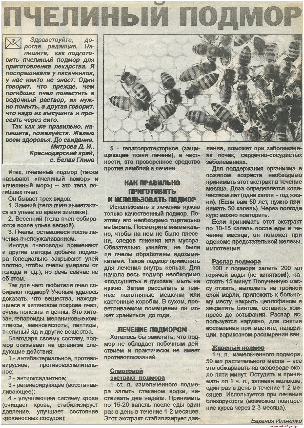 Подмор пчелиный летний. Содержит биологически активные комплексы.