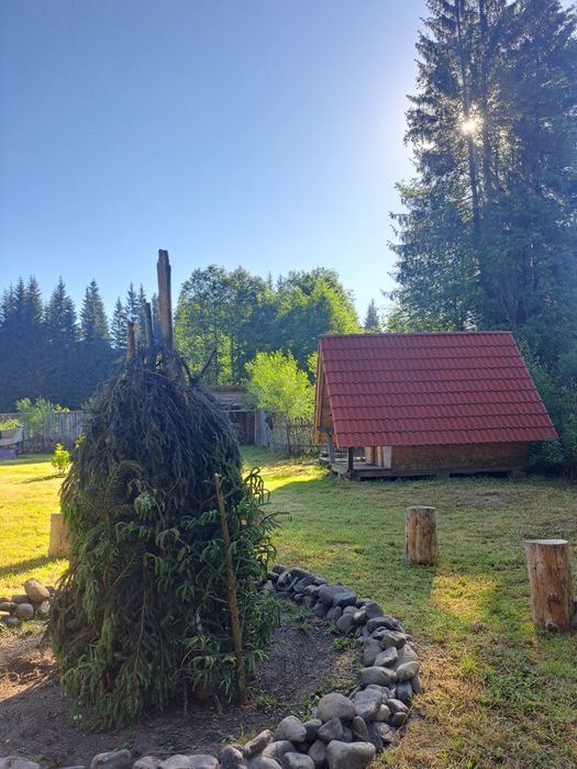 Cabană Munte / Cabana 5Frați / Rustic / Comandău / Covasna / Brașov