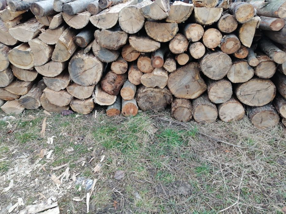 Vand lemne de foc uscate