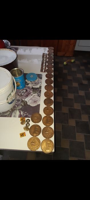 Medalii din bronz pentru apicultura