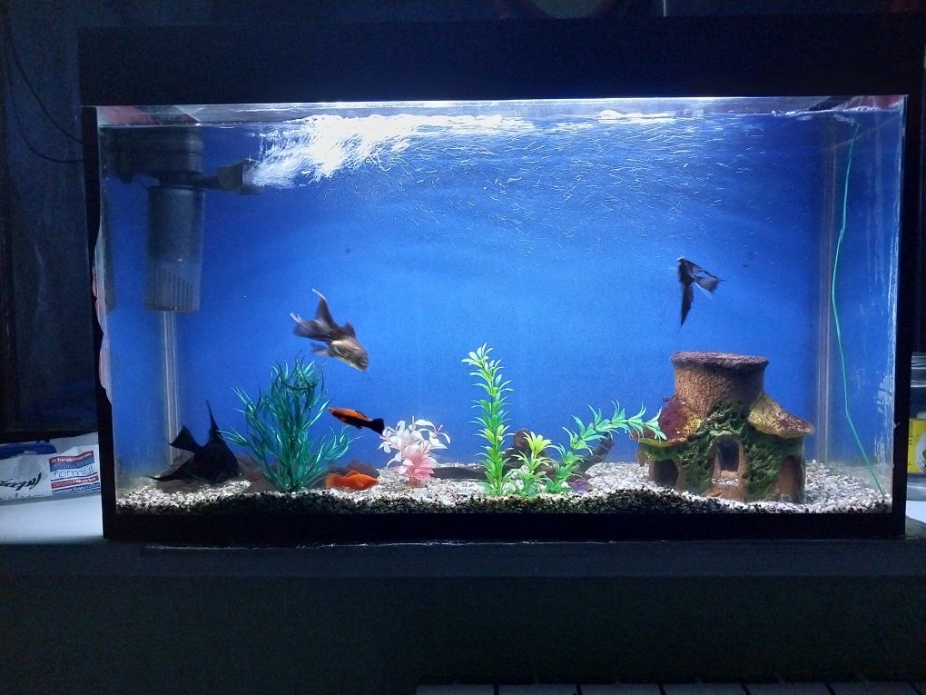 Akvarium 100 litr.