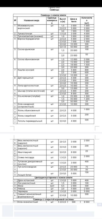 Қарағаш, карагаш (карагач] Вяз мелколистный прайс листті қараңыз