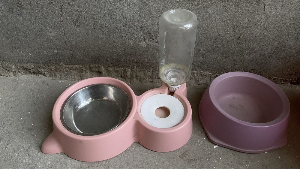 Mushular uchun mahsulotlar