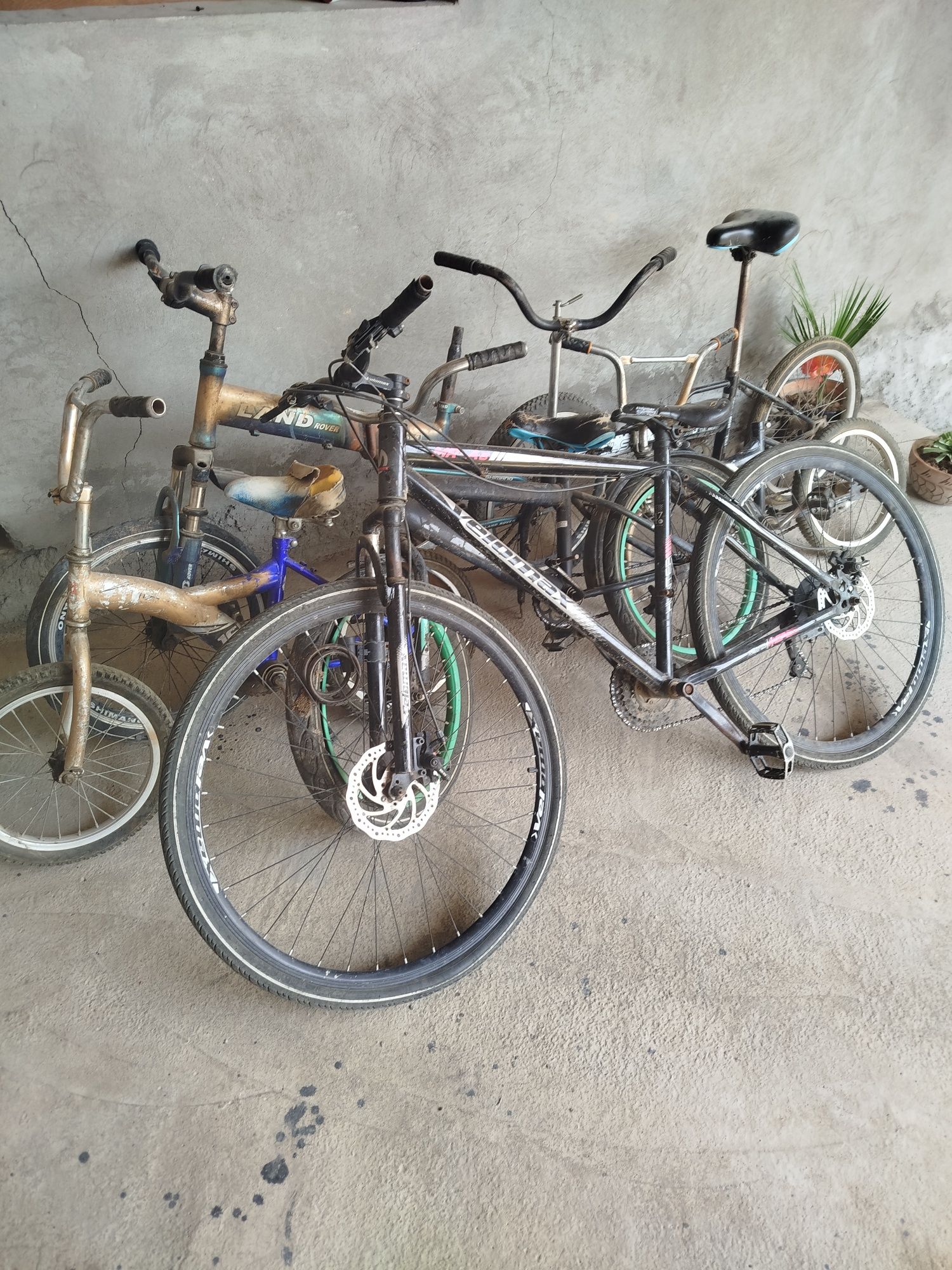 Velosipedlar optom sotiladi arzon narxda