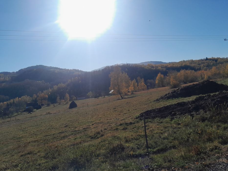 Teren extravilan