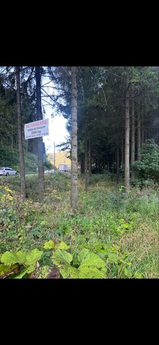 OPORTUNITATE INVESTITIE  intravilan DN1 Azuga.langa benzinaria Lukoil