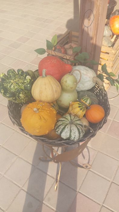Тыква разных сортов , видов, вкусов  и размеров! от 50 грамм до 50 кил
