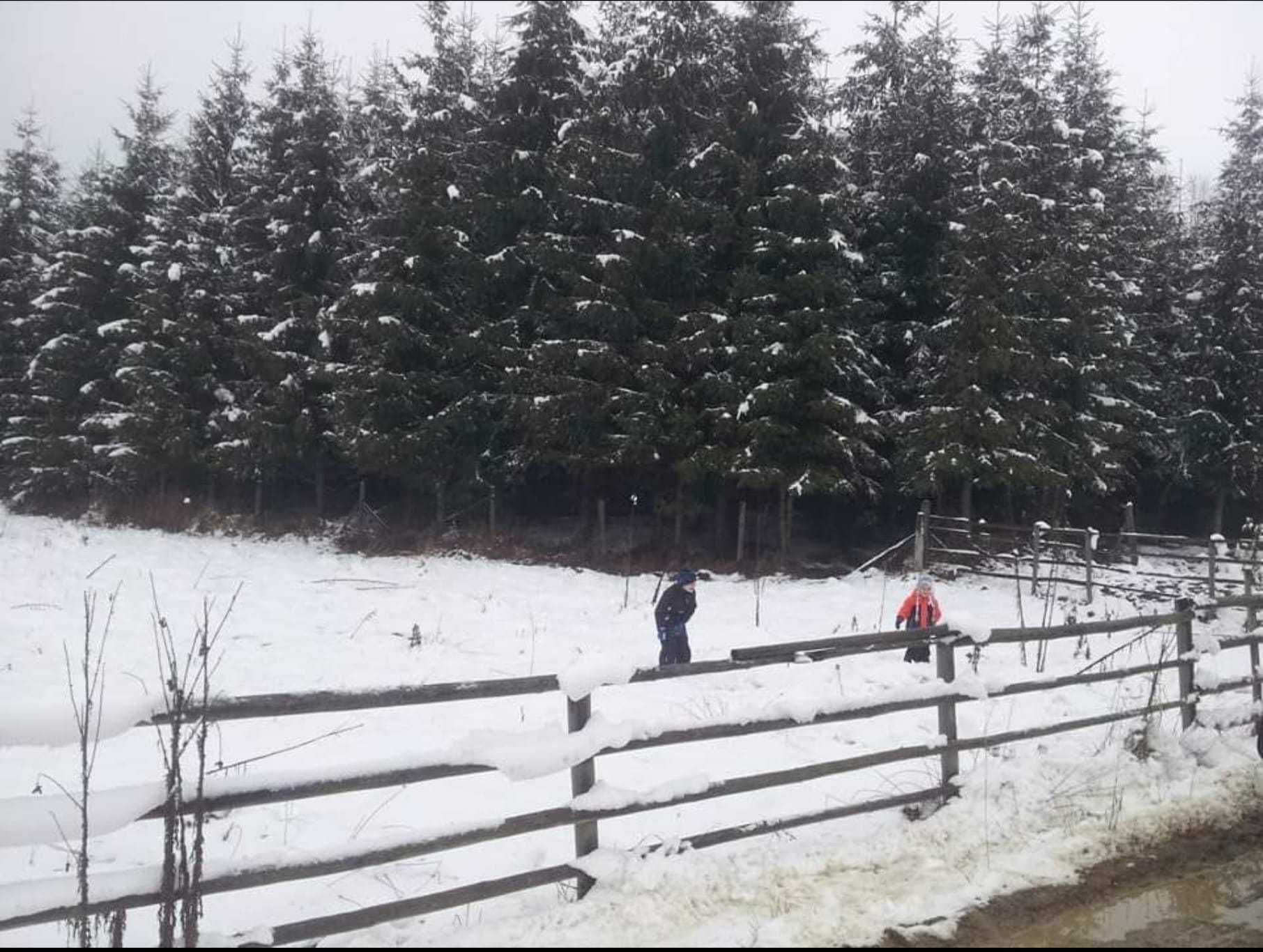 Teren intravilan la munte langa padure