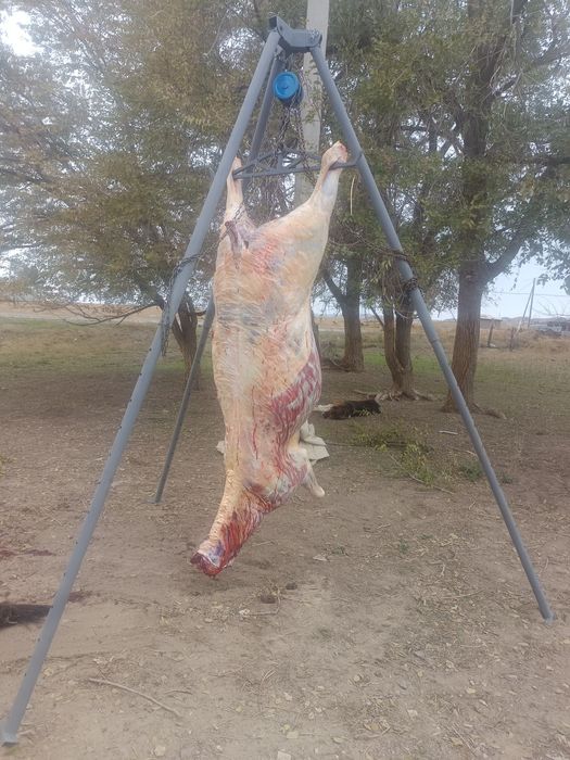 Продам треногу для разделки туш