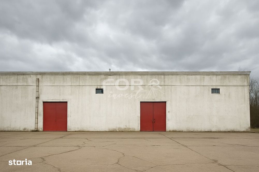 Depozit de inchiriat Paleu