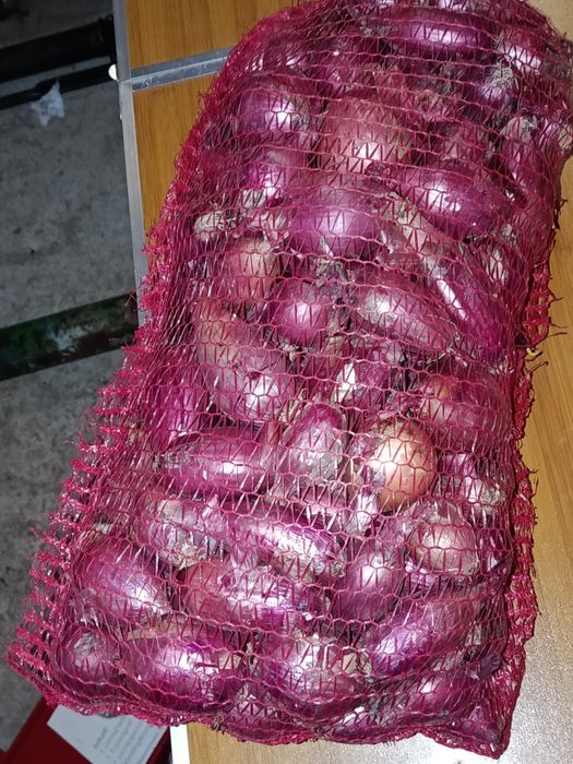 Ceapa rosie de apa lunguiata de vanzare