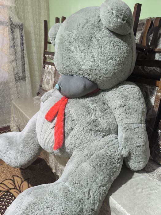 Teddy Ayiq holati Yaxshi bekor turibdi Sotiladi