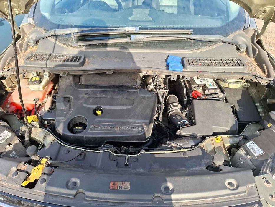 Oglinda Electrica Sanga Ford Kuga 2013 SUV Verde