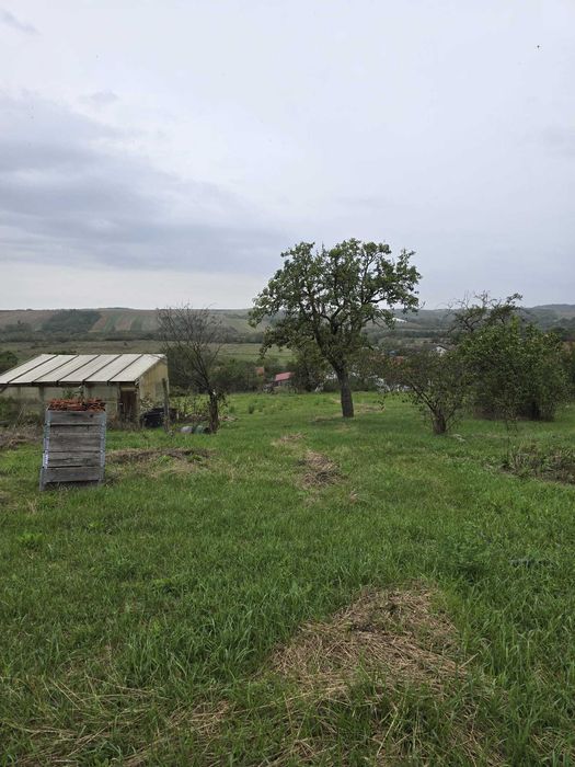 Vand casa in comuna Bethausen, sat Cladova