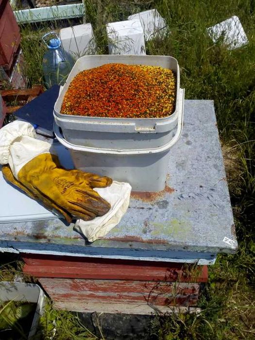 Продавам Пчелен Прашец