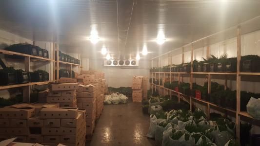 Изготовим морозильные камеры в вашем помещении от + 5 до - 30 градусов