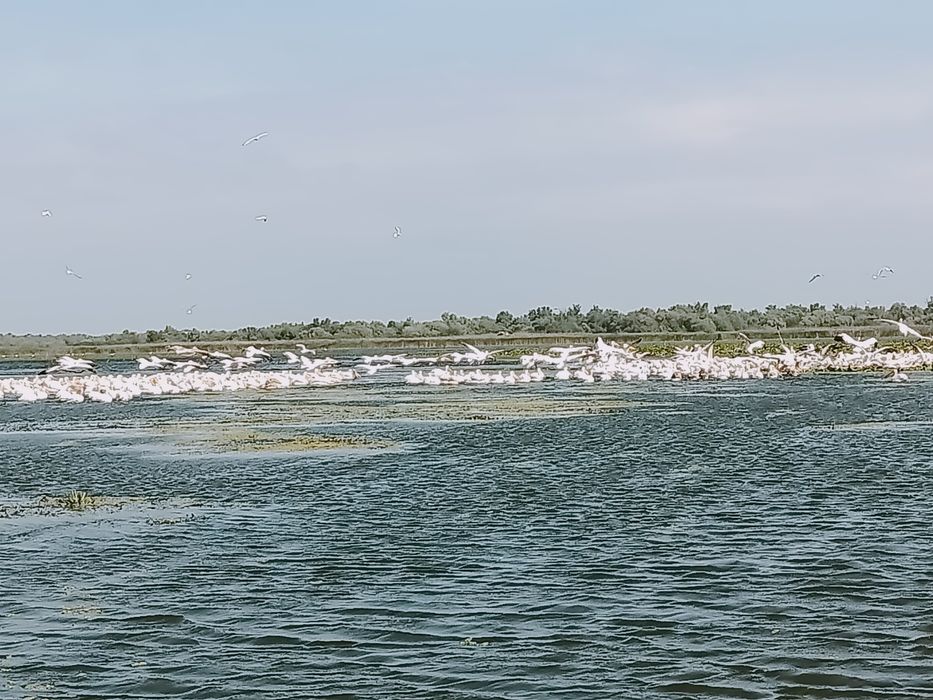 Excursie Delta Dunării
