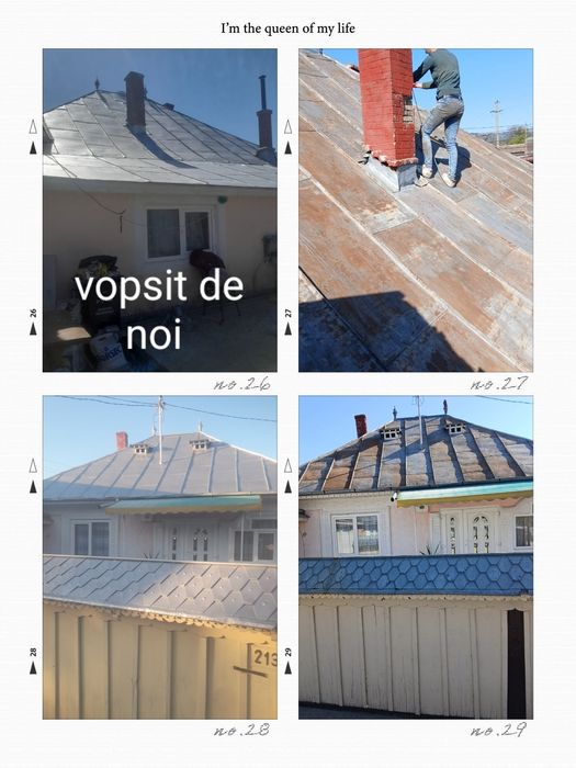 Vopsitor  profesionis  tabla pe case