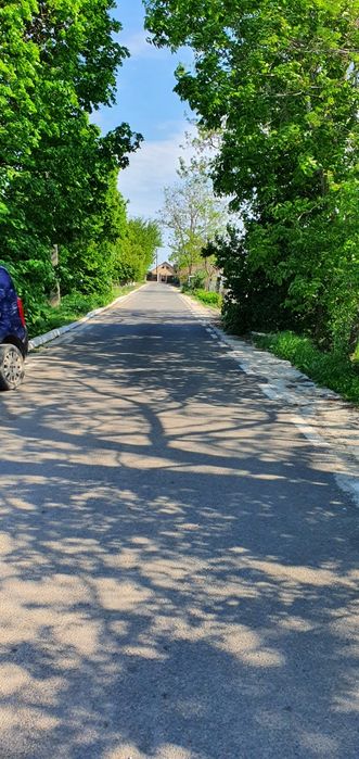 Teren 1000 mp, Oituz (Constanța)