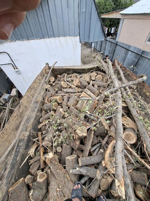 Дрова Карагач 7-8 кубов