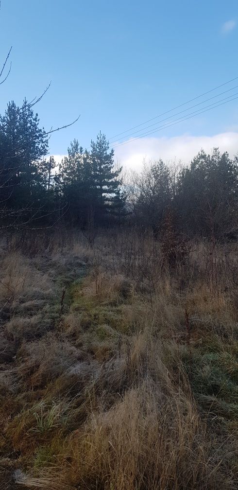 Продава се Къща в с. Гюешево, Област Кюстендил - 74 кв.м за 290 €/кв.м - Снимка #4