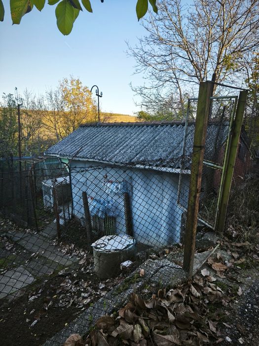 Продавам лозе с постройка