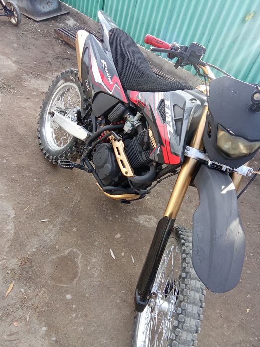 Индура FMZ 2024...