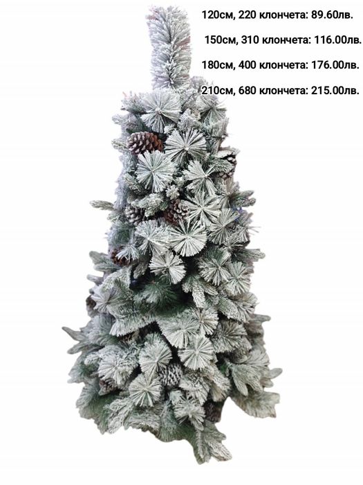 Коледни елхи на ниски цени