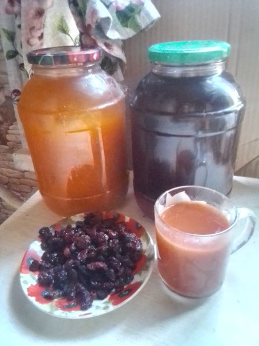 Дачные заготовки экологически чистые