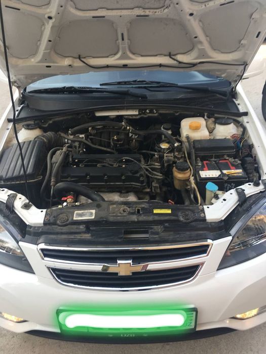 Arenda Lasseti  2010