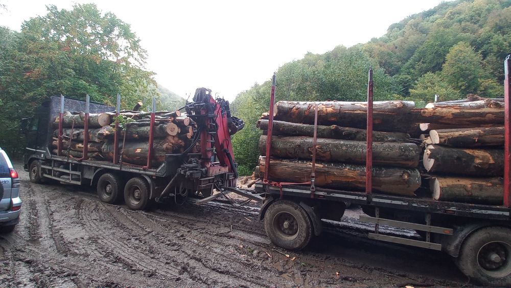 LEMN DE FOC de vanzare