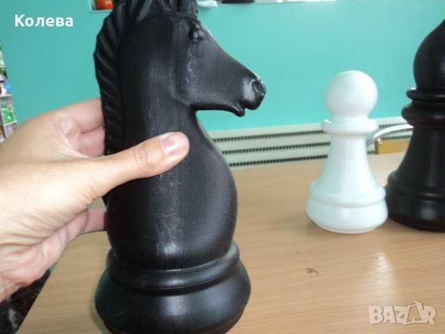Малък градински шах