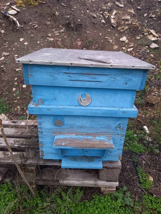 Кошери и изградени рамки