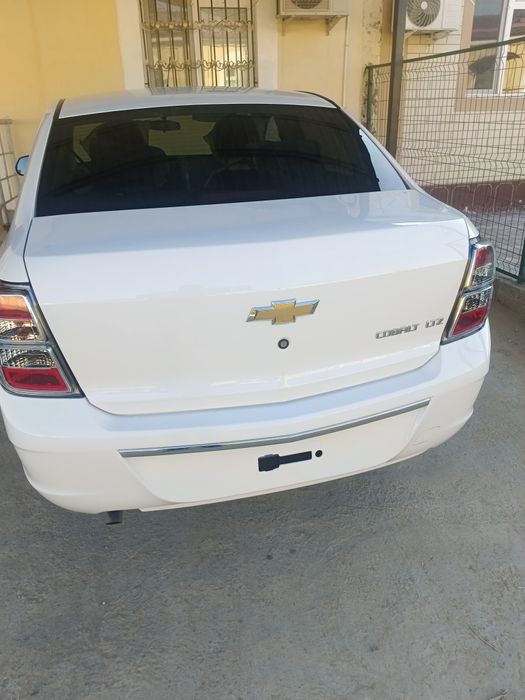 Cobalt midnight 2025