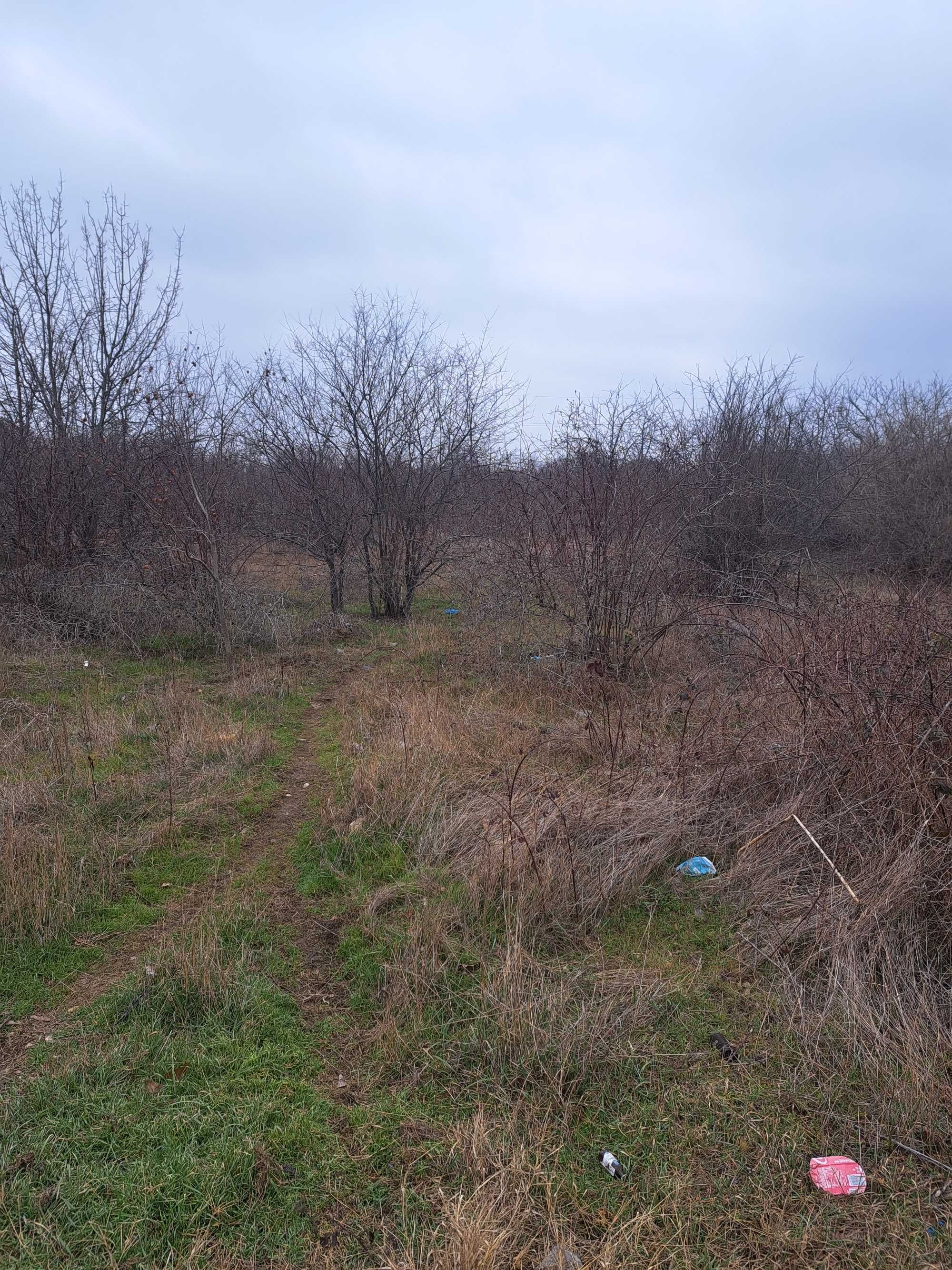 Teren in Eforie Nord pe Strada Meduzei