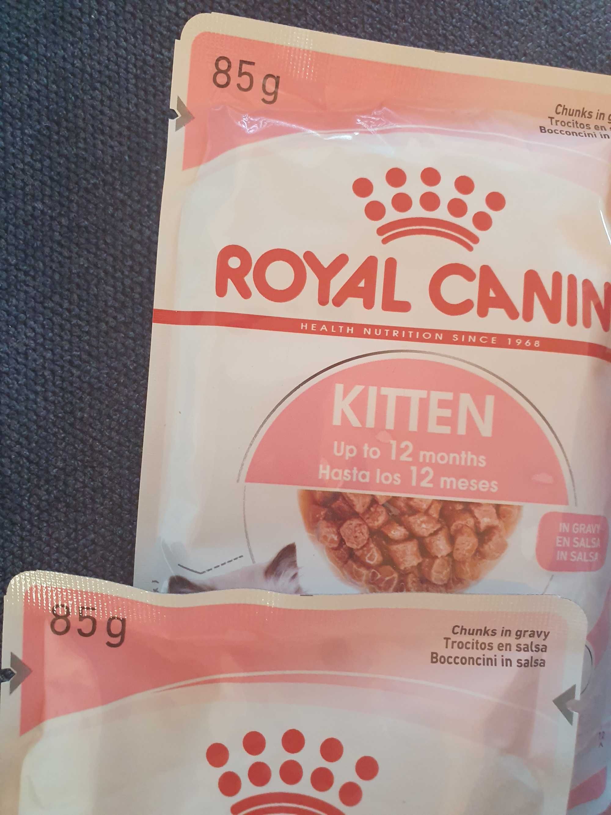 Set mancare pentru pisoi Royal Canin