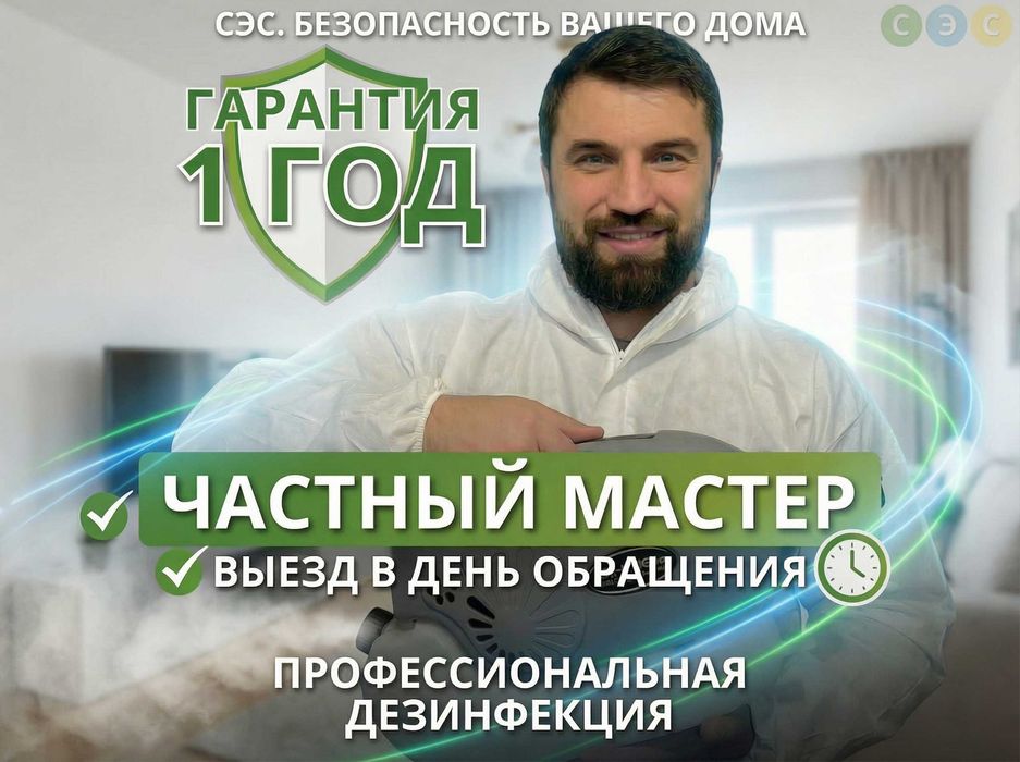 Удаление плесени, борьба с сыросью, грибком. Уничтожение насекомых