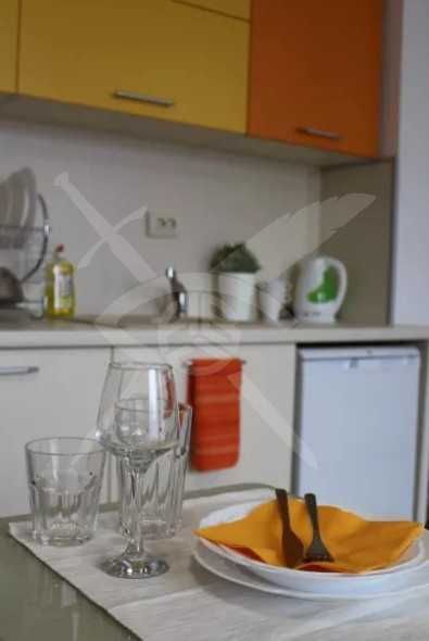 Едностаен апартамент под наем Каменица 1  1840311